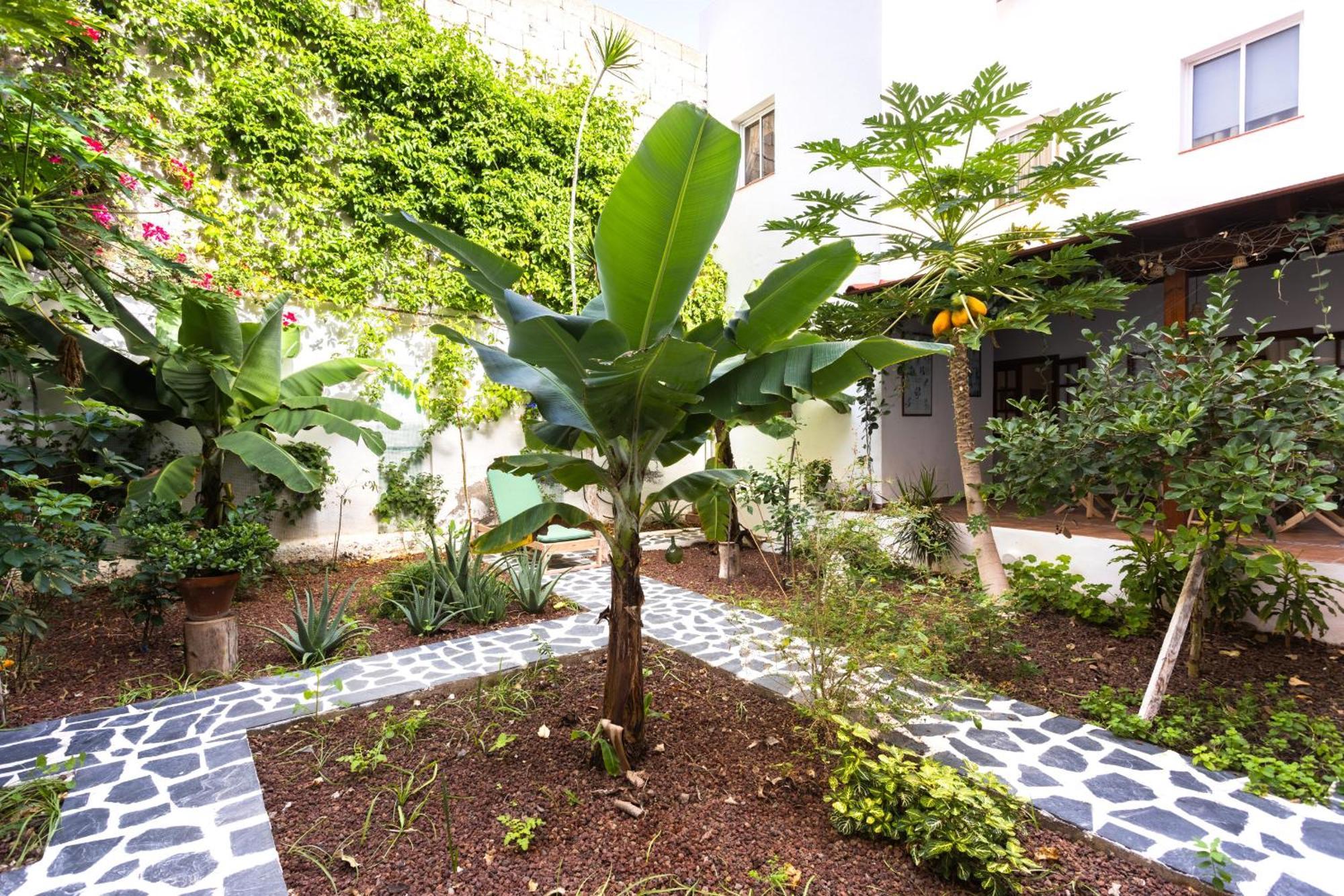 הוילה Garachico Center Secret Garden מראה חיצוני תמונה